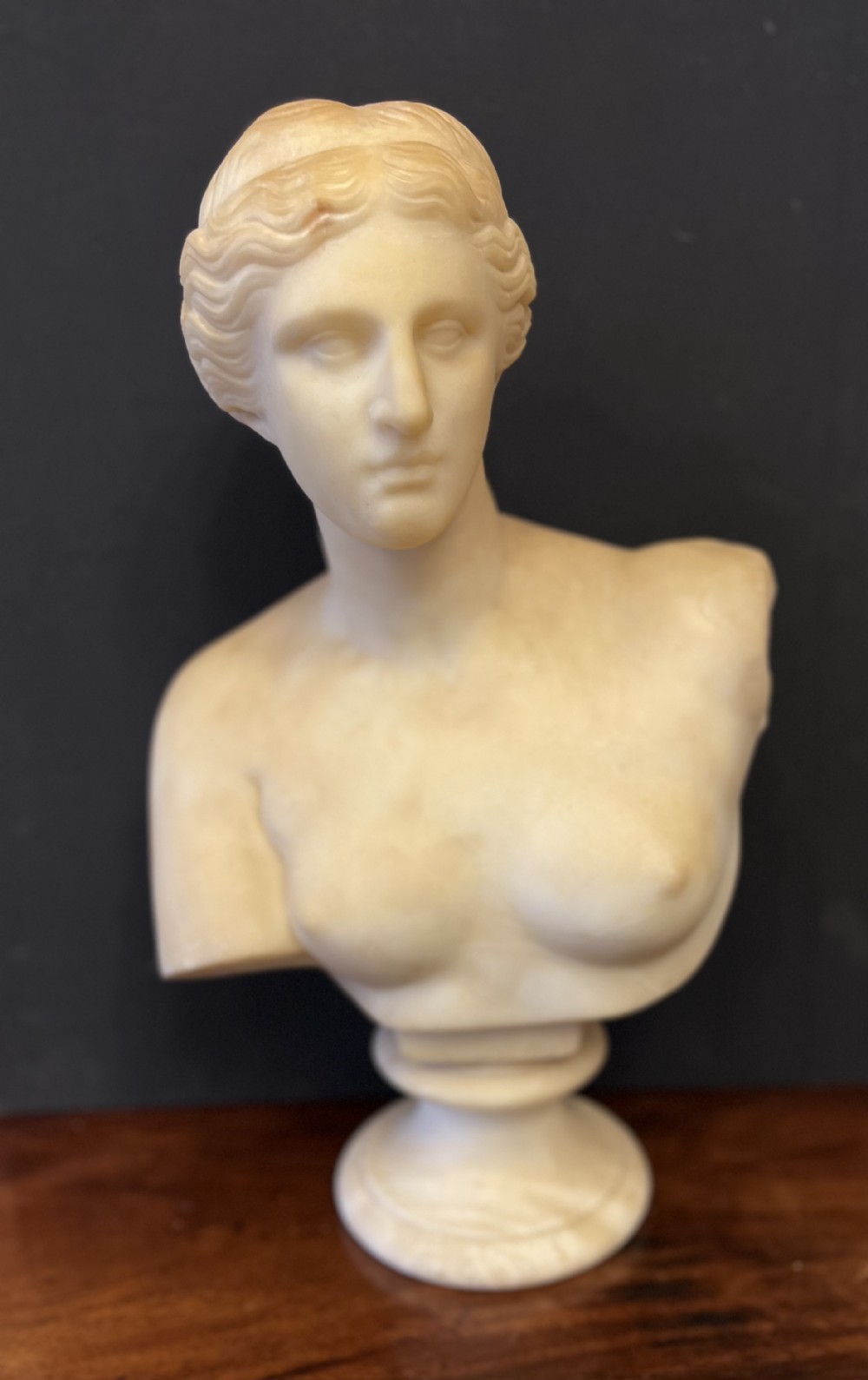 c19th alabaster bust of venus